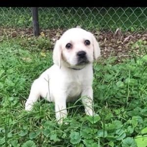 Meet your Posher, Tania